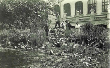 Der botaniche Garten neben der Universität